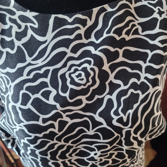 Black and White Beauty - Picture 3 of 7